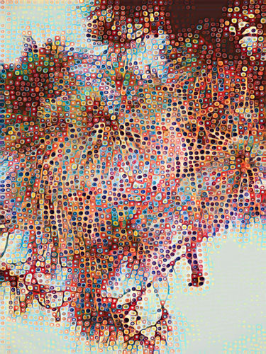 Florida artist nature-inspired art #natureart