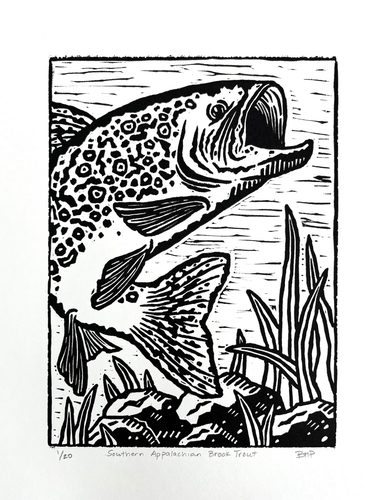 linocut print of a trout in the water
