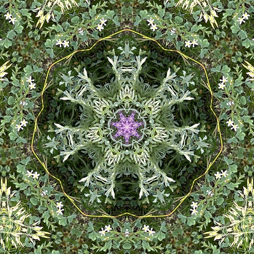 kaleidoscopic image taken from nature photo