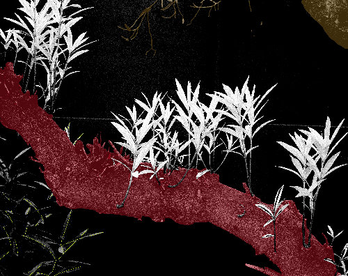 surreal altered botanical photograph