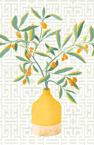 contemporary design kumquat plan in a vase