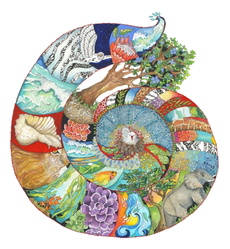 whimsical watercolor of a decorative seashell