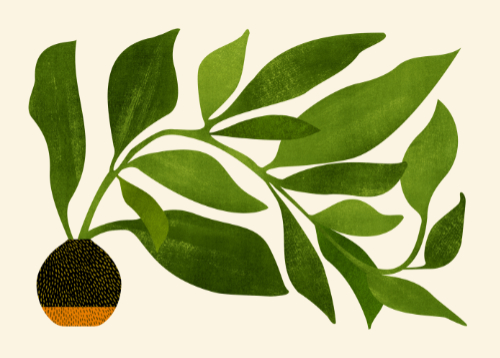 contemporary plant design art