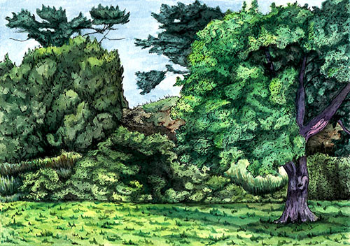 plein air watercolor painting of a meadow