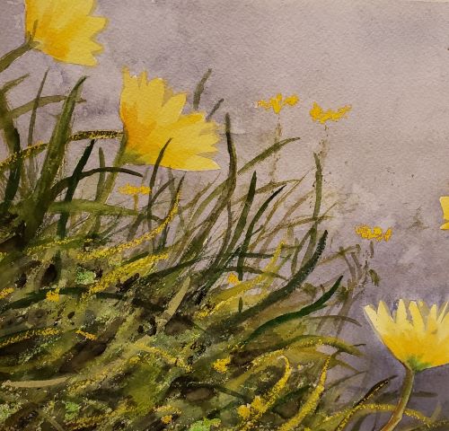charming watercolor painting of flowering weeds