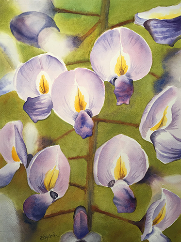 watercolor painting of wisteria flowers