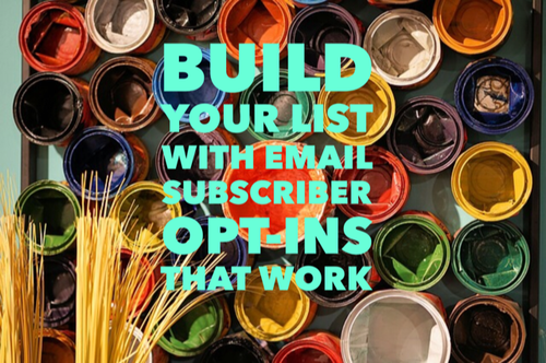 Build Your List with Email Subscriber Opt-Ins that Work. Read about these business strategies for artists at www.ArtsyShark.com