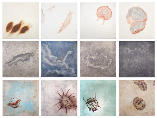 sea life inspired encaustic artworks